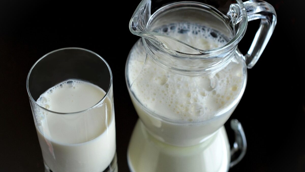 milk, glass, fresh, healthy, drink, nutritious, jug, glass jug, milk, milk, milk, milk, milk