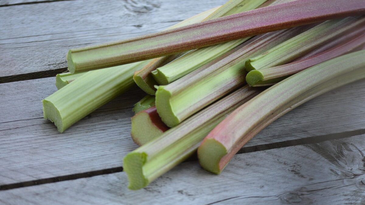 rhubarb, homeproduce, fresh food, rhubarb, rhubarb, rhubarb, rhubarb, rhubarb