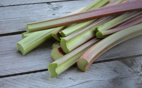 rhubarb, homeproduce, fresh food, rhubarb, rhubarb, rhubarb, rhubarb, rhubarb