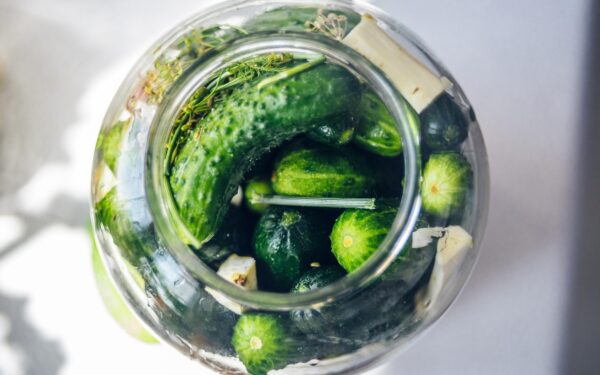 pickled cucumbers, silage, cucumber, cucumber green, cucumbers in a jar, organic cucumbers, cucumbers with horseradish, dill, jar, snack, vegetables, cucumbers, vitamins, closeup, food, fresh, bokeh, healthy, organic, diet