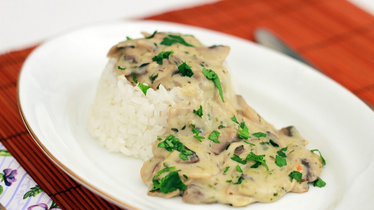 food, mushroom, rice, mushroom sauce, mushroom stew, mushroom sauce, mushroom sauce, mushroom sauce, mushroom sauce, mushroom sauce, mushroom stew