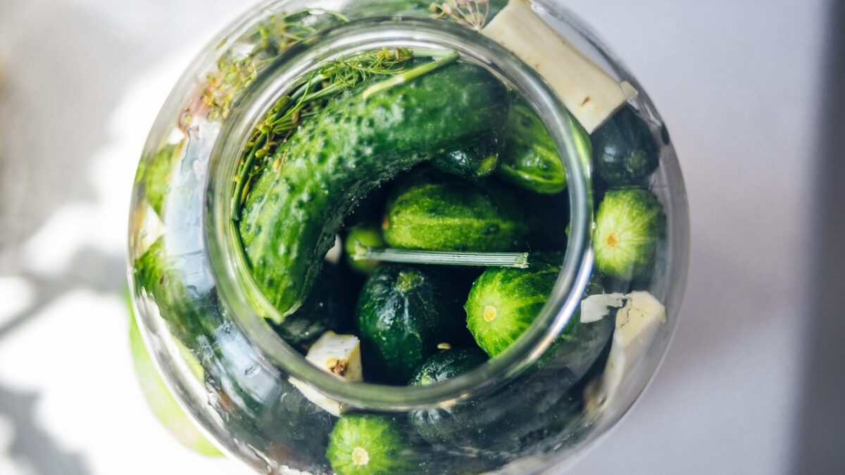 pickled cucumbers, silage, cucumber, cucumber green, cucumbers in a jar, organic cucumbers, cucumbers with horseradish, dill, jar, snack, vegetables, cucumbers, vitamins, closeup, food, fresh, bokeh, healthy, organic, diet