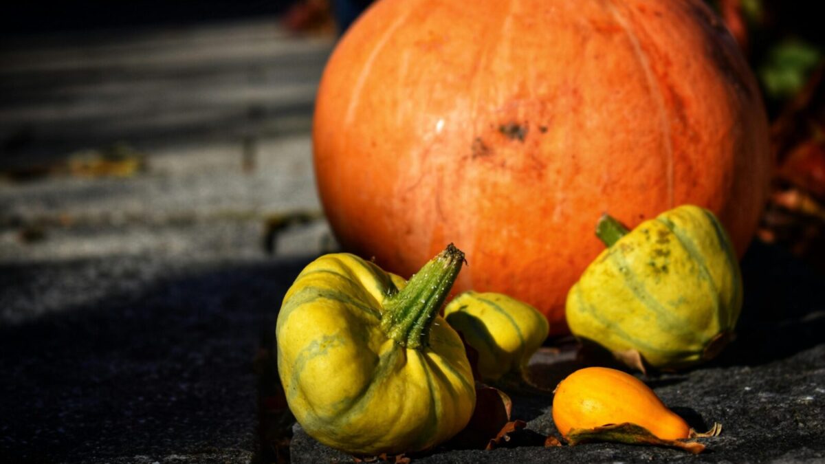 Vibrant orange pumpkin and yellow gourds on stone path, highlighting autumn harvest theme.