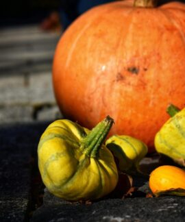 Vibrant orange pumpkin and yellow gourds on stone path, highlighting autumn harvest theme.