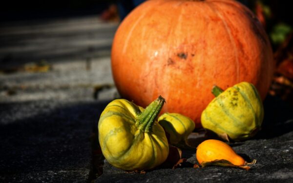 Vibrant orange pumpkin and yellow gourds on stone path, highlighting autumn harvest theme.