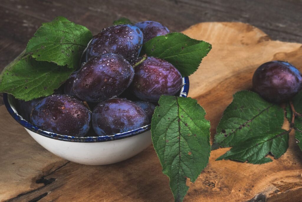 Close-up of fresh organic plums with dewdrops in a bowl, showcasing vibrant green leaves.