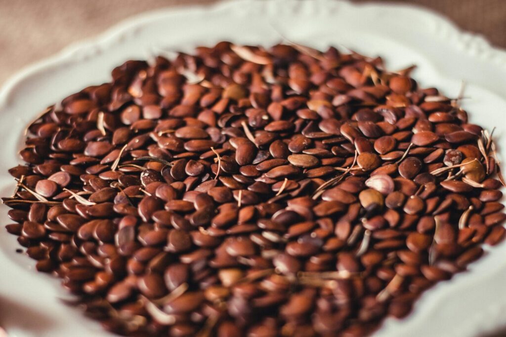High-resolution close-up of brown flax seeds on a decorative plate.