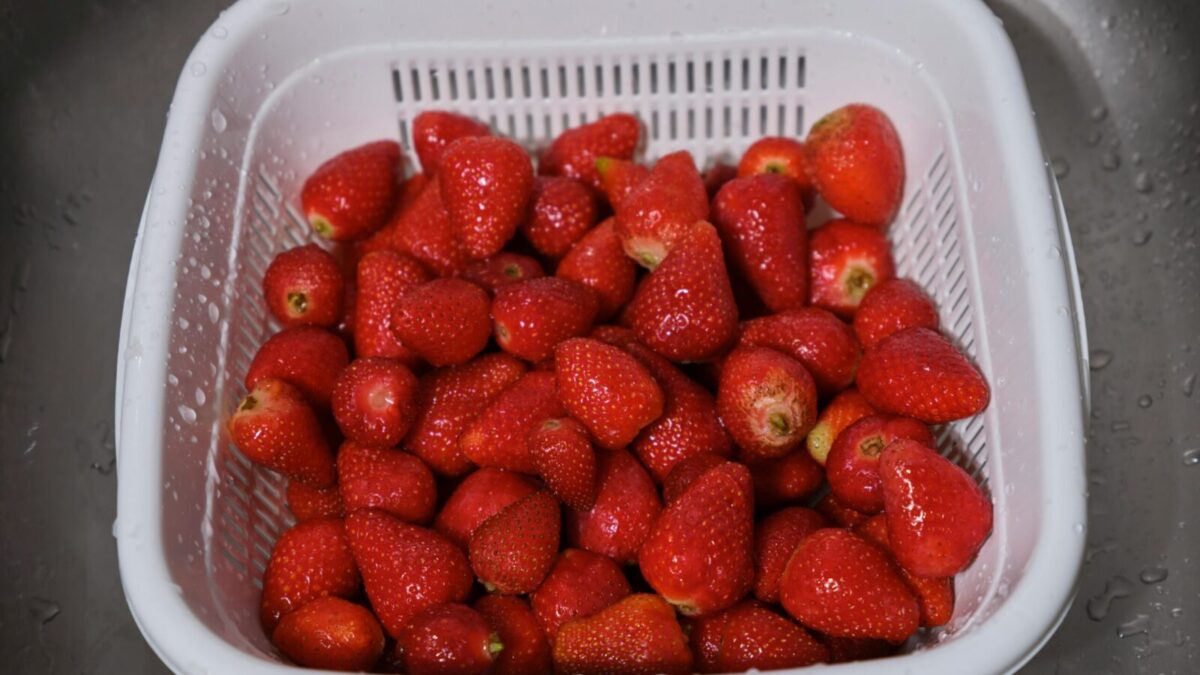 A close-up of fresh strawberries in a white plastic colander. Perfect for healthy eating concepts.