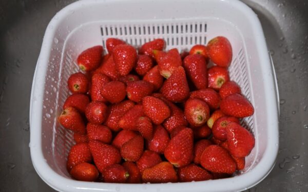 A close-up of fresh strawberries in a white plastic colander. Perfect for healthy eating concepts.