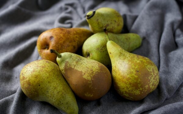 A close-up view of ripe and fresh pears displayed on soft gray fabric, showcasing their natural texture and color.