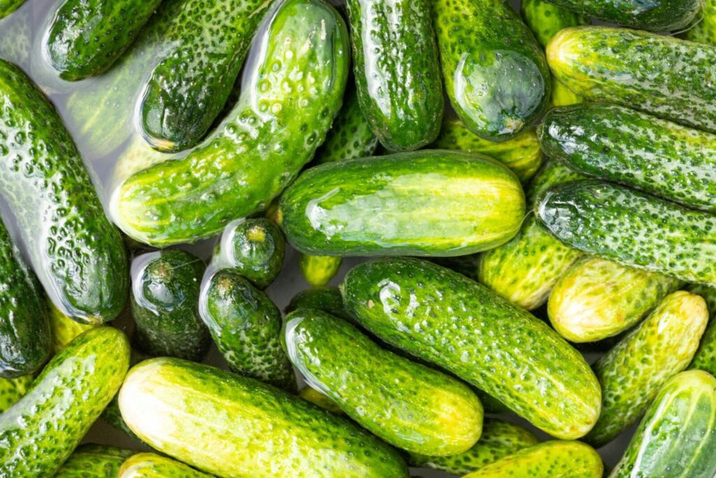 Clean, fresh organic cucumbers soaked in water offering a healthy and nutritious option.