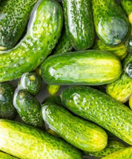 Clean, fresh organic cucumbers soaked in water offering a healthy and nutritious option.