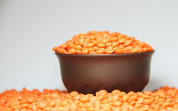 A focused image of a bowl filled with vibrant red lentils against a plain background.