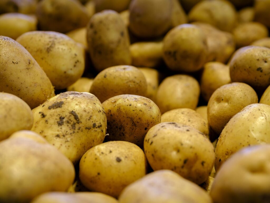 High-quality close-up of fresh, raw potatoes with dirt, showcasing their natural appeal.