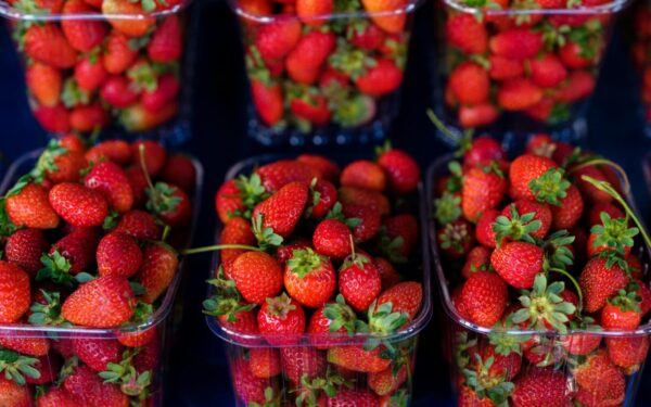 Bright and juicy red strawberries arranged in plastic containers at a farmers' market.