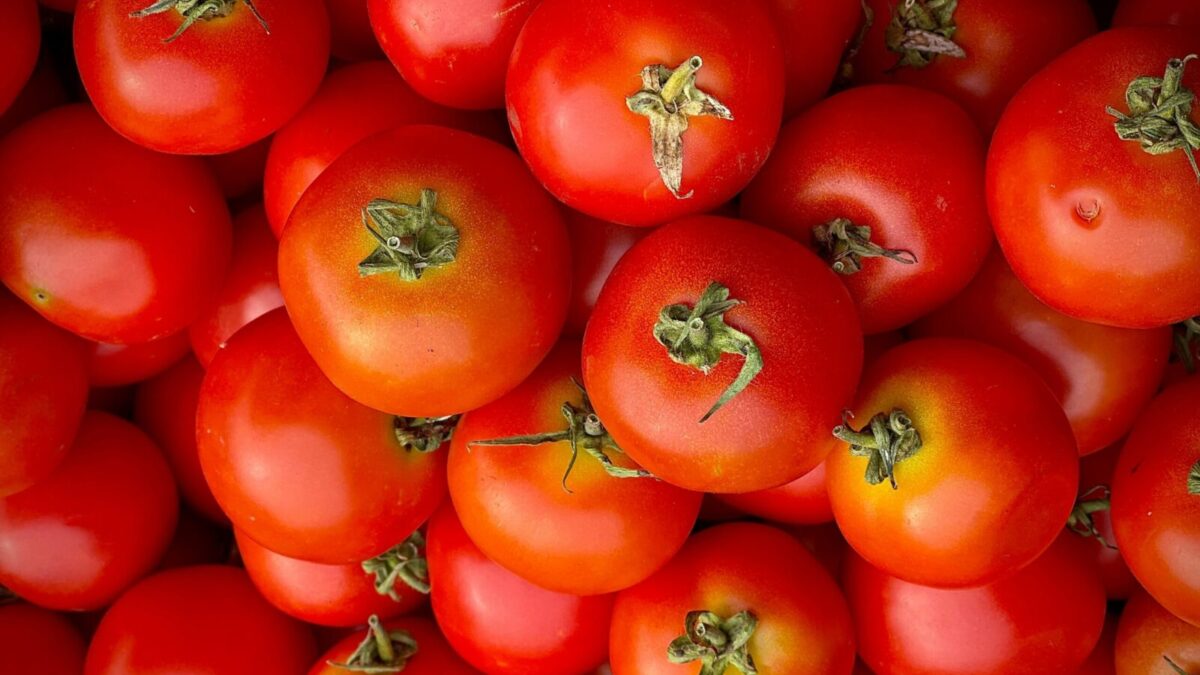 Close-up of fresh red tomatoes showcasing vibrant colors and textures for food enthusiasts.