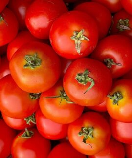 Close-up of fresh red tomatoes showcasing vibrant colors and textures for food enthusiasts.