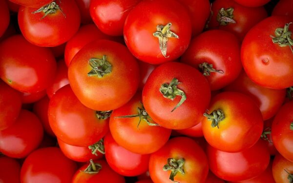 Close-up of fresh red tomatoes showcasing vibrant colors and textures for food enthusiasts.