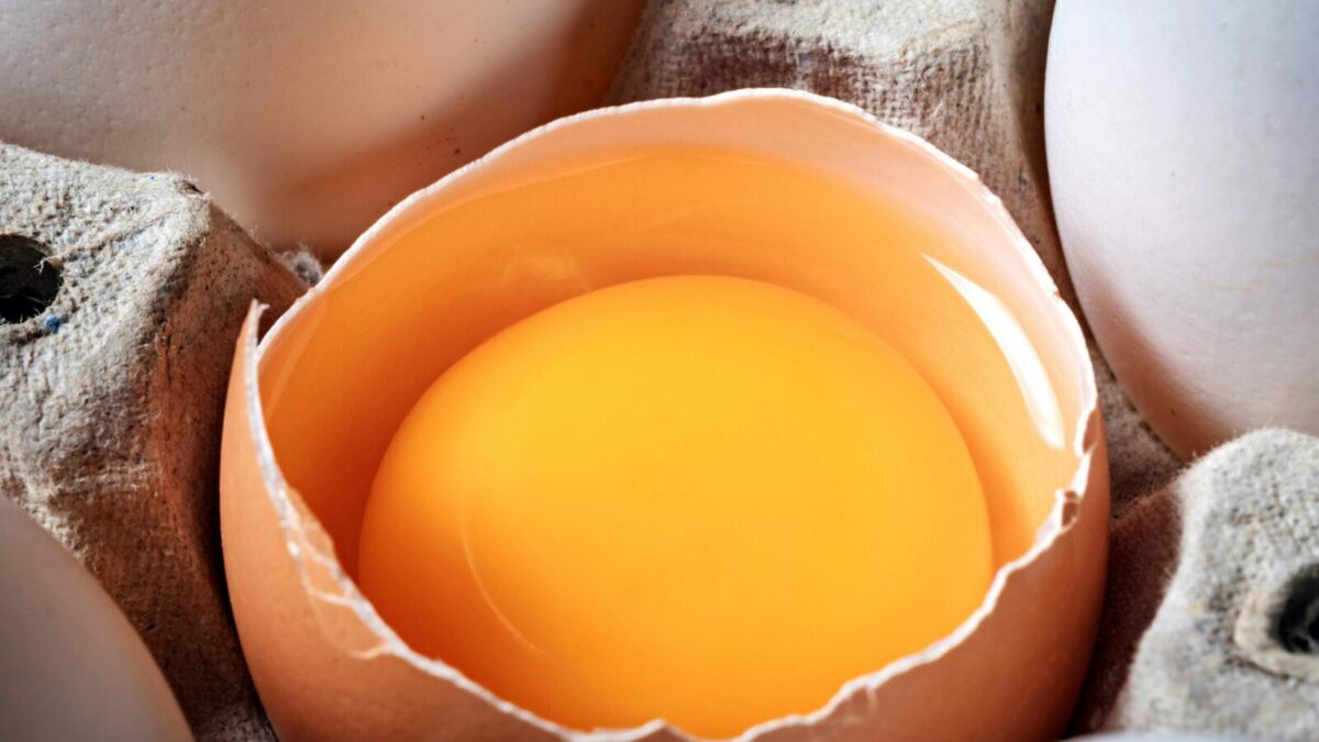 High-resolution photo showing a broken egg with yolk on display in an egg carton.