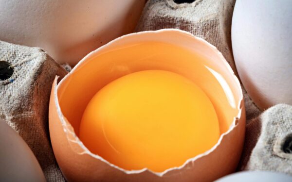 High-resolution photo showing a broken egg with yolk on display in an egg carton.