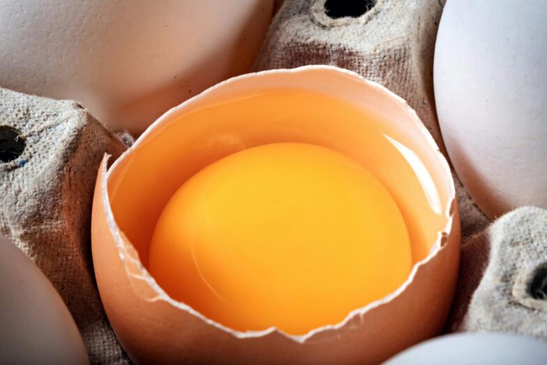 High-resolution photo showing a broken egg with yolk on display in an egg carton.