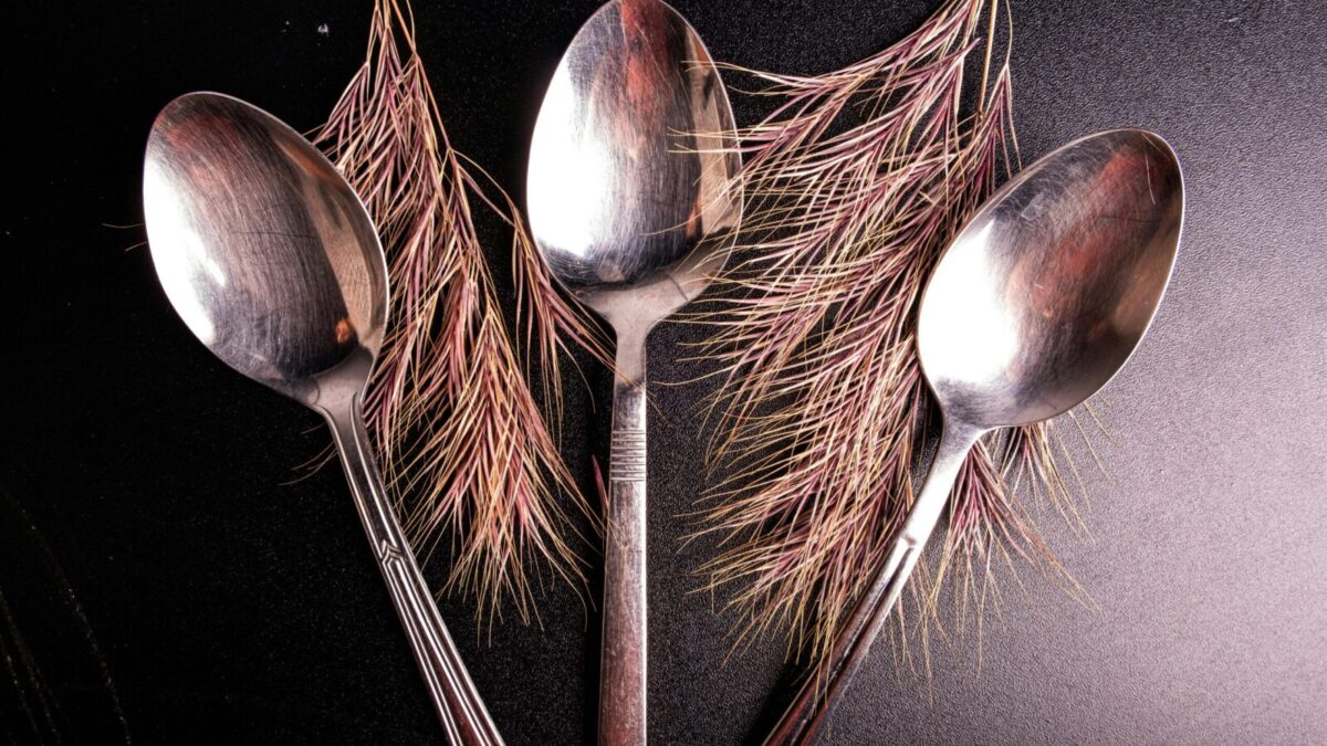Three metallic spoons creatively arranged with pine leaves on a textured surface.