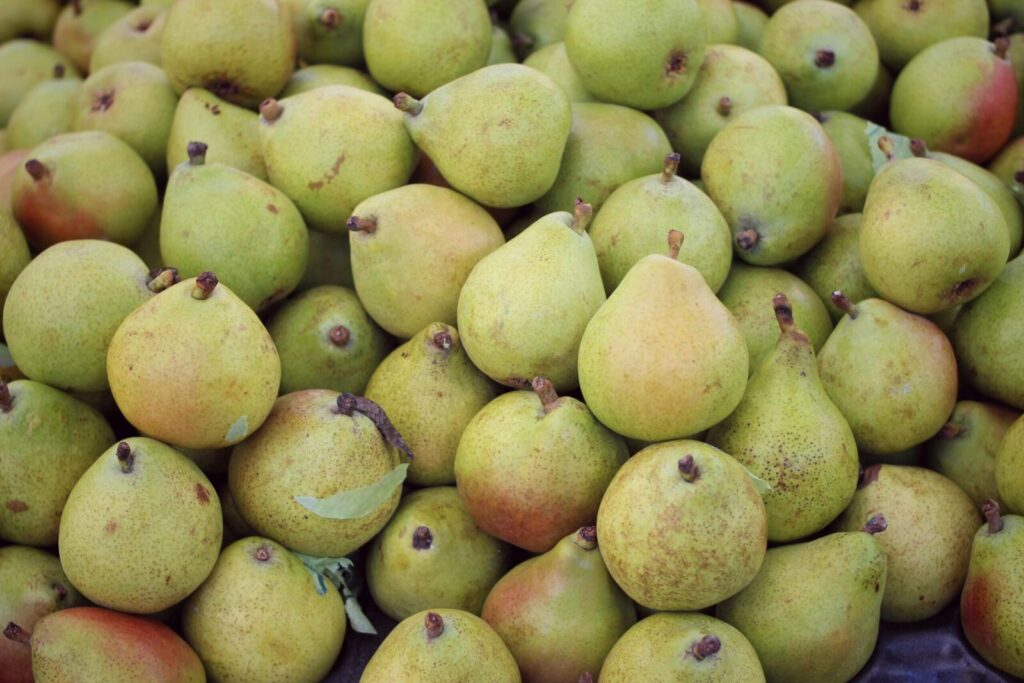 A vibrant display of fresh green and red pears at a market stall in São Paulo, Brazil.