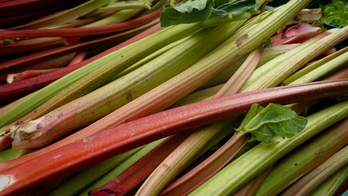 Vibrant and fresh rhubarb stalks displayed at a market, showcasing natural colors and textures.