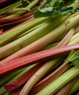 Vibrant and fresh rhubarb stalks displayed at a market, showcasing natural colors and textures.