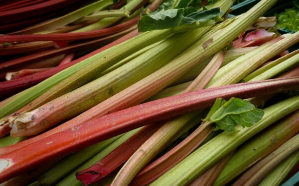 Vibrant and fresh rhubarb stalks displayed at a market, showcasing natural colors and textures.