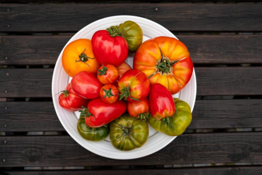 A collection of colorful heirloom tomatoes on a white plate against a wooden background.