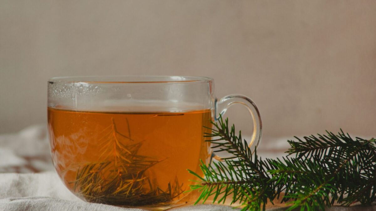 A steaming cup of herbal tea garnished with vibrant pine branches on a soft fabric background.