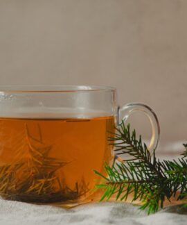 A steaming cup of herbal tea garnished with vibrant pine branches on a soft fabric background.