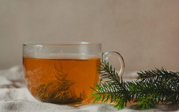 A steaming cup of herbal tea garnished with vibrant pine branches on a soft fabric background.