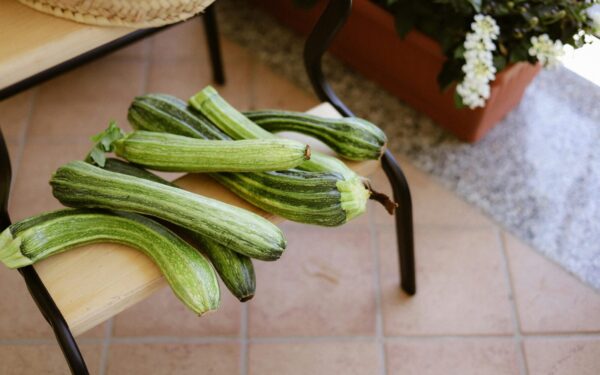 A collection of fresh green zucchinis displayed on a wooden bench outdoors.