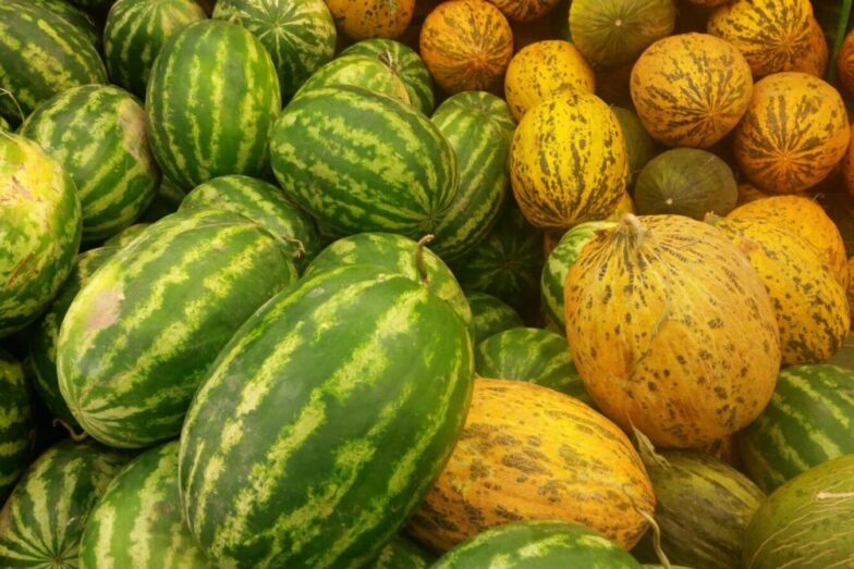 A colorful assortment of watermelons and melons on display, showcasing their vibrant hues.