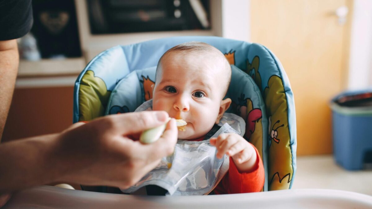 Crop person feeding baby with bib sitting in feeding chair and looking at camera
