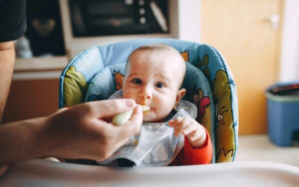 Crop person feeding baby with bib sitting in feeding chair and looking at camera
