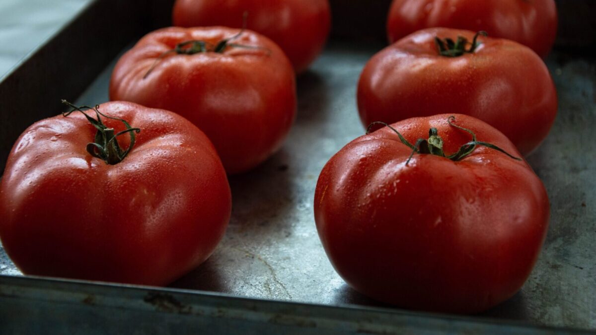 Close-up of fresh ripe tomatoes resting on a metal tray, showcasing organic produce.