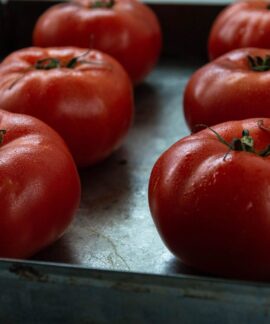 Close-up of fresh ripe tomatoes resting on a metal tray, showcasing organic produce.