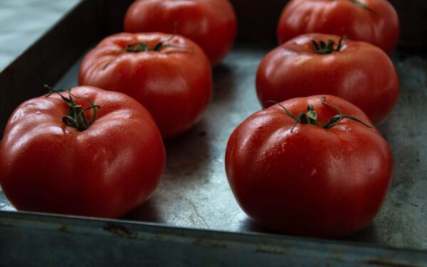 Close-up of fresh ripe tomatoes resting on a metal tray, showcasing organic produce.