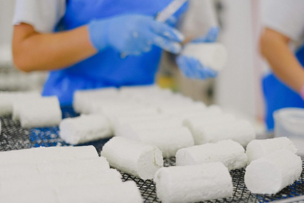 Artisan goat cheese being prepared in a dairy factory by workers in blue aprons.