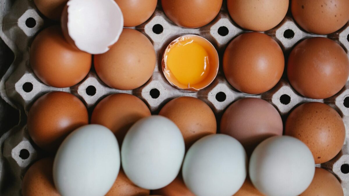 Top view of yolk in broken eggshell among whole eggs in carton container