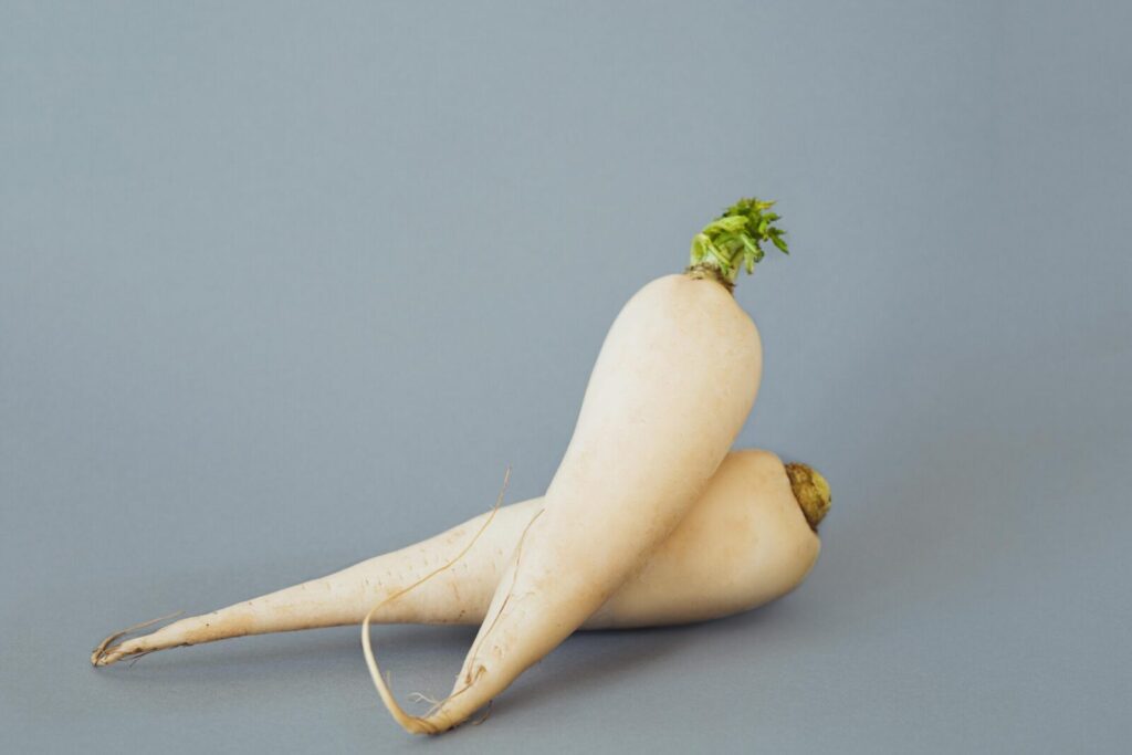 A pair of fresh daikon radishes on a grey background, showcasing natural texture and form.