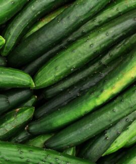 A close-up of fresh organic cucumbers displayed in an abundant harvest scene.
