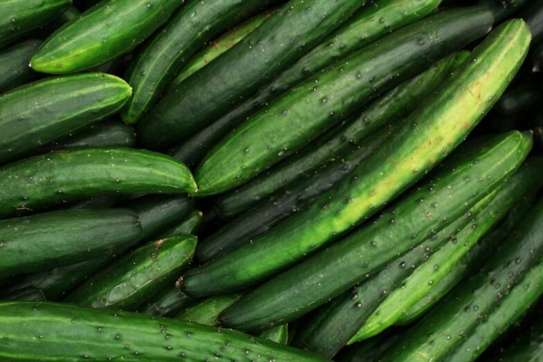 A close-up of fresh organic cucumbers displayed in an abundant harvest scene.