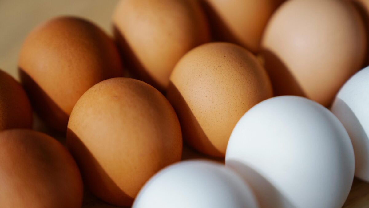 Close-up of brown and white eggs arranged on a surface, showcasing their texture and color.