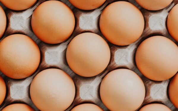 Overhead view of fresh brown eggs neatly arranged in a carton, showcasing their natural texture.