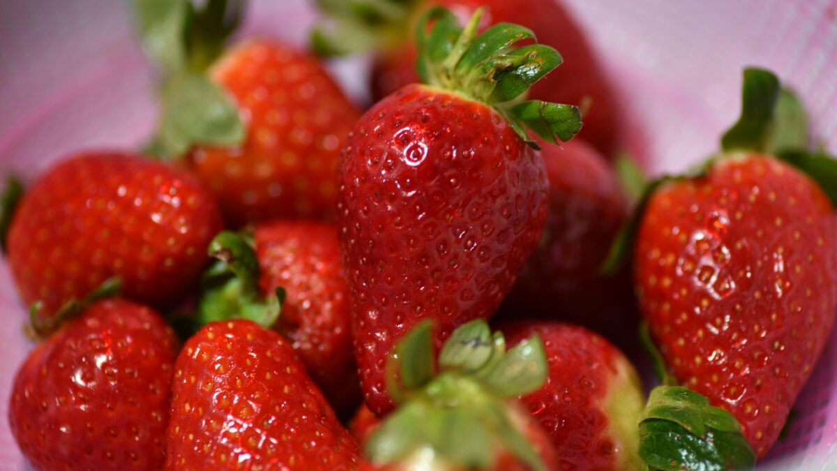 Close-up of ripe, vibrant red strawberries in a colander with green stems.