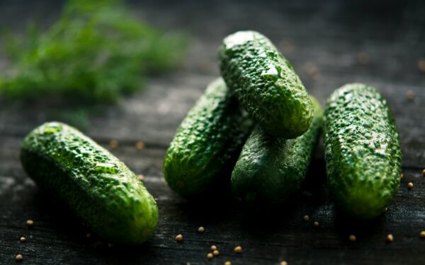3 green cucumbers on black wooden table